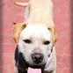 Tango 6 meses